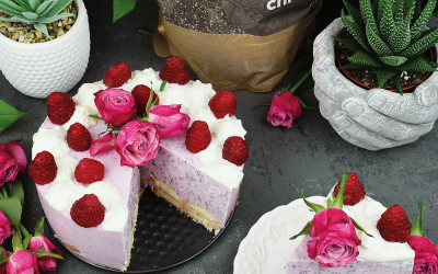 Malinowy sernik chia